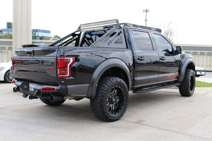 Raptor
