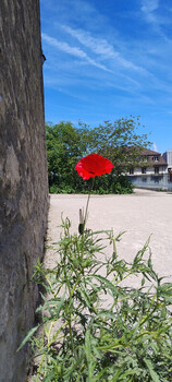 photo,suisse